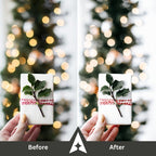 Frosted Pine Collection