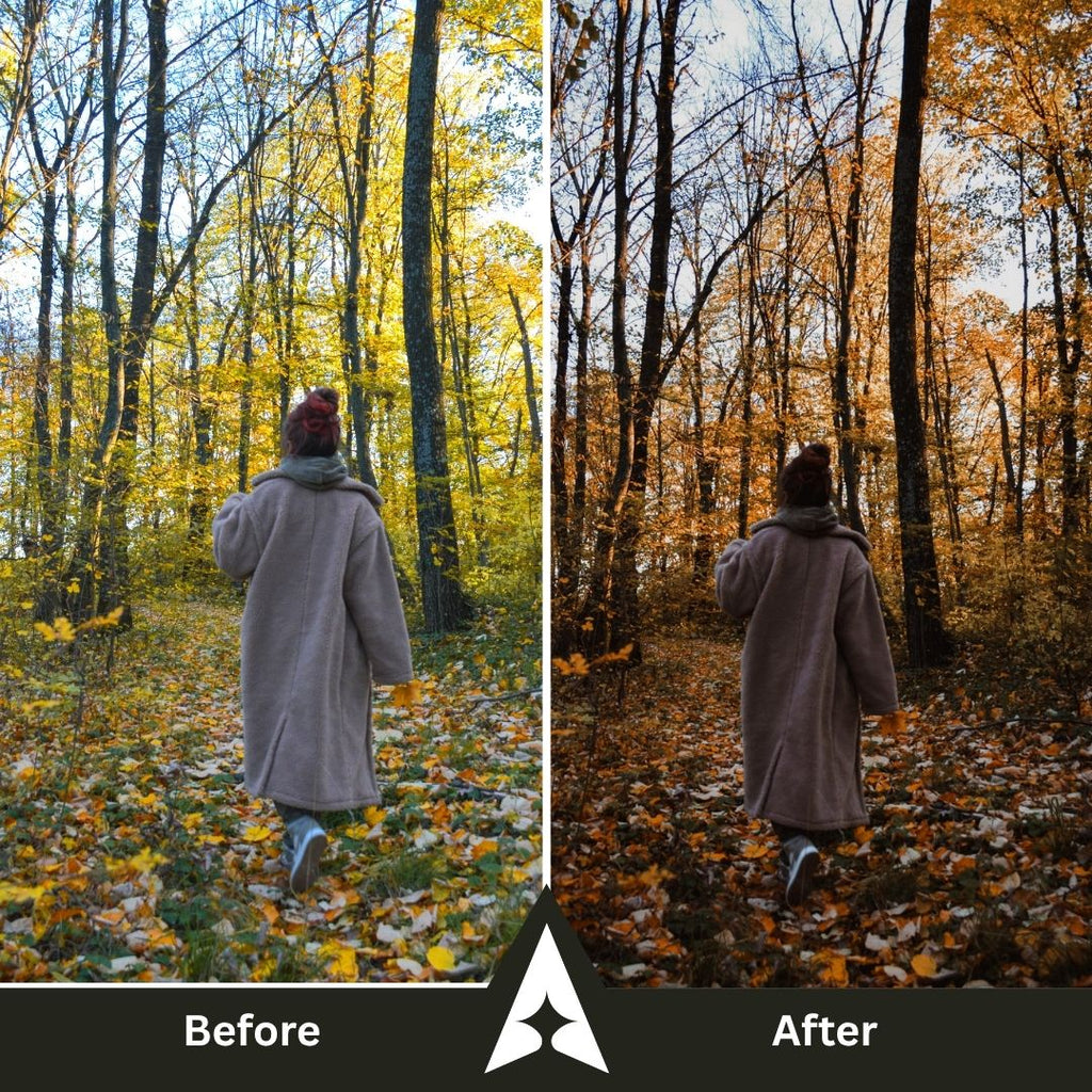 Moody Woods Collection