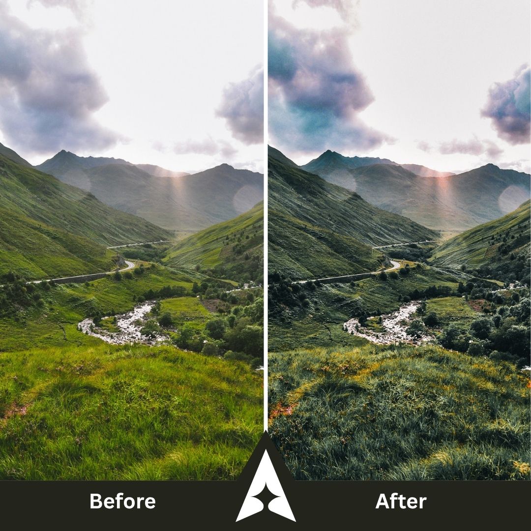 Moody Woods Collection