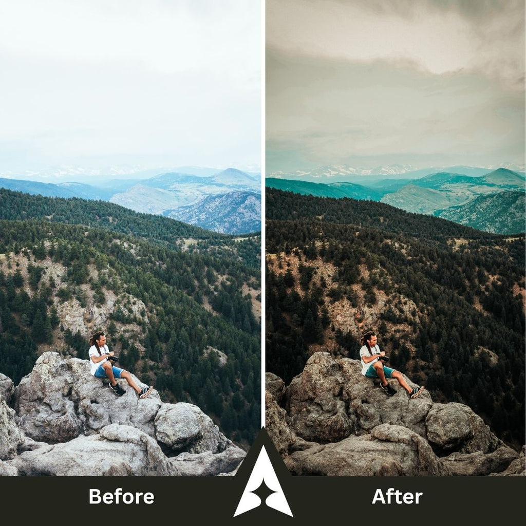 Moody Woods Collection