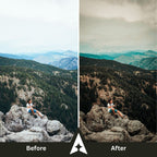 Moody Woods Collection