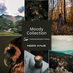 Moody Woods Collection