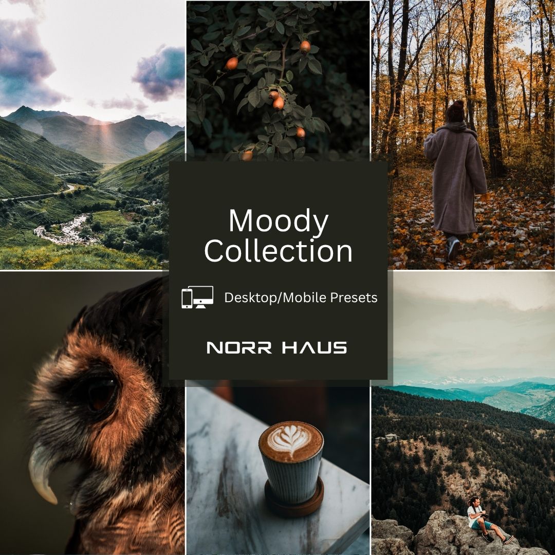 Moody Woods Collection